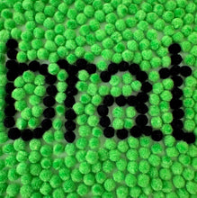 Load image into Gallery viewer, Lime Green/Black/Lime Green Fuzzy Daisy Earrings - JULY